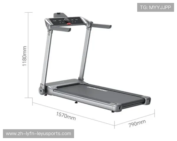 荣耀健身器材品牌特色与销售渠道